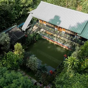 https://brook-streak-wayanad.kerala-hotels.net